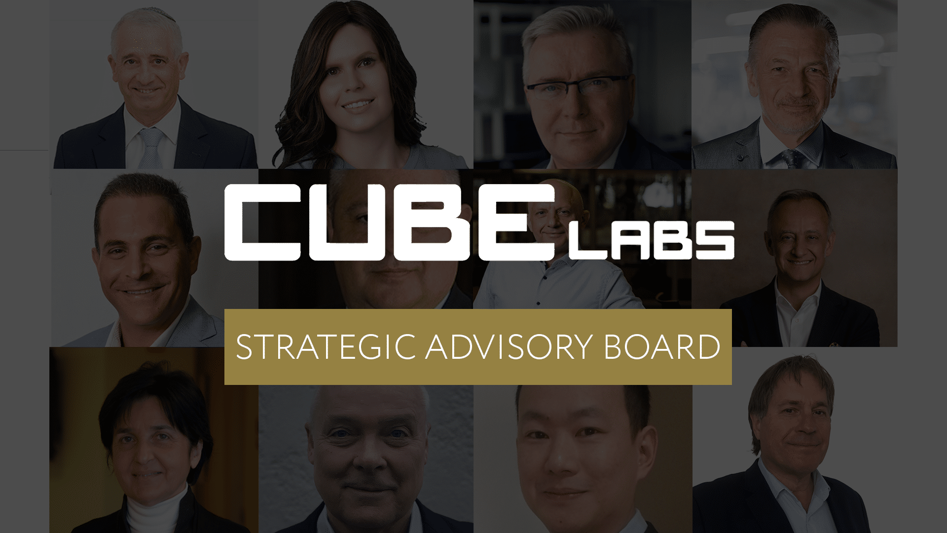 BANNER Strategic Advisory Board